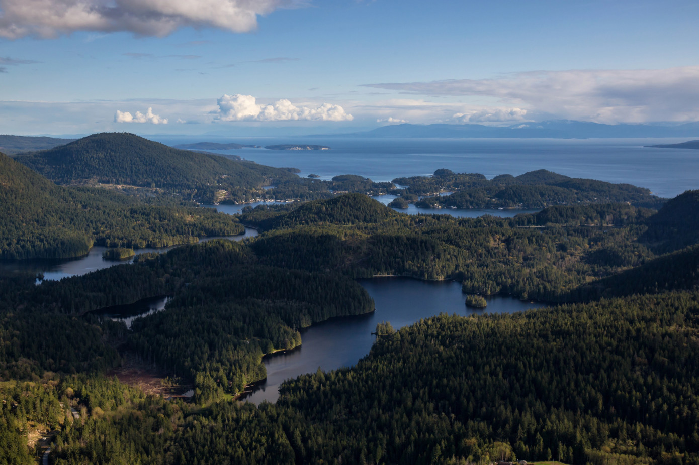 B.C. forms 10-member council to advise on forest stewardship