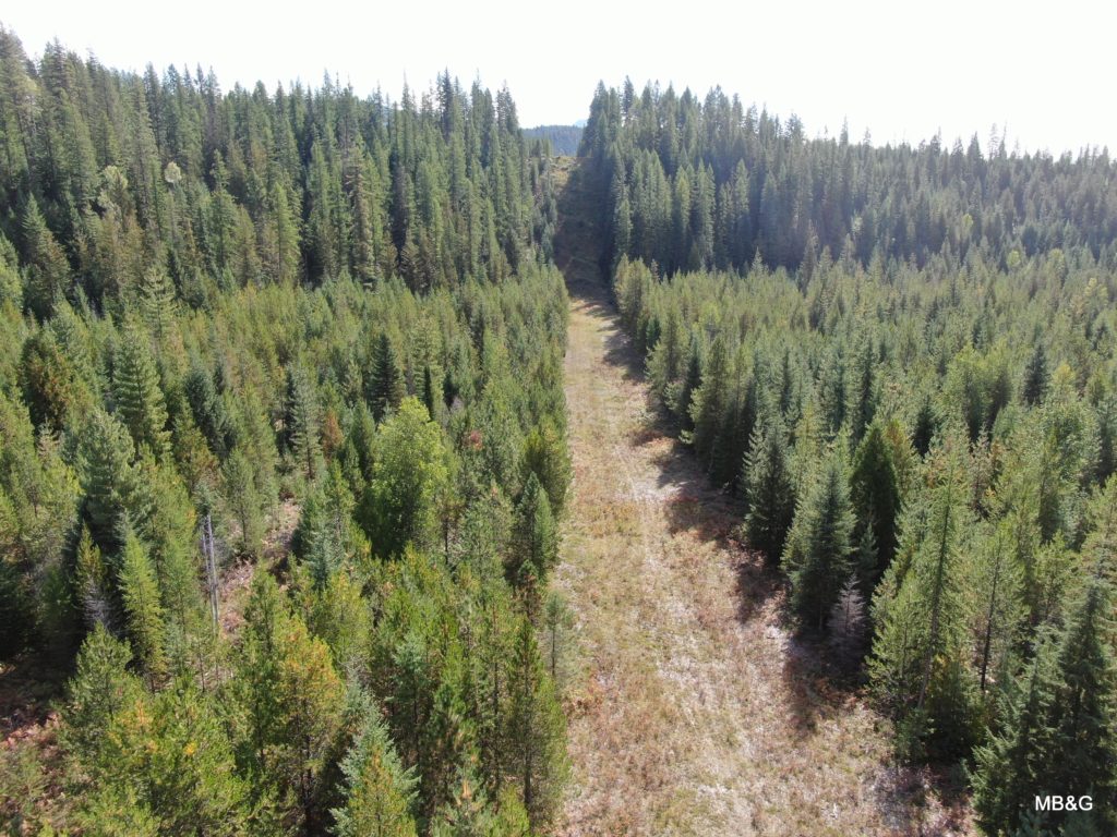 Molpus conserves working forest in North Idaho