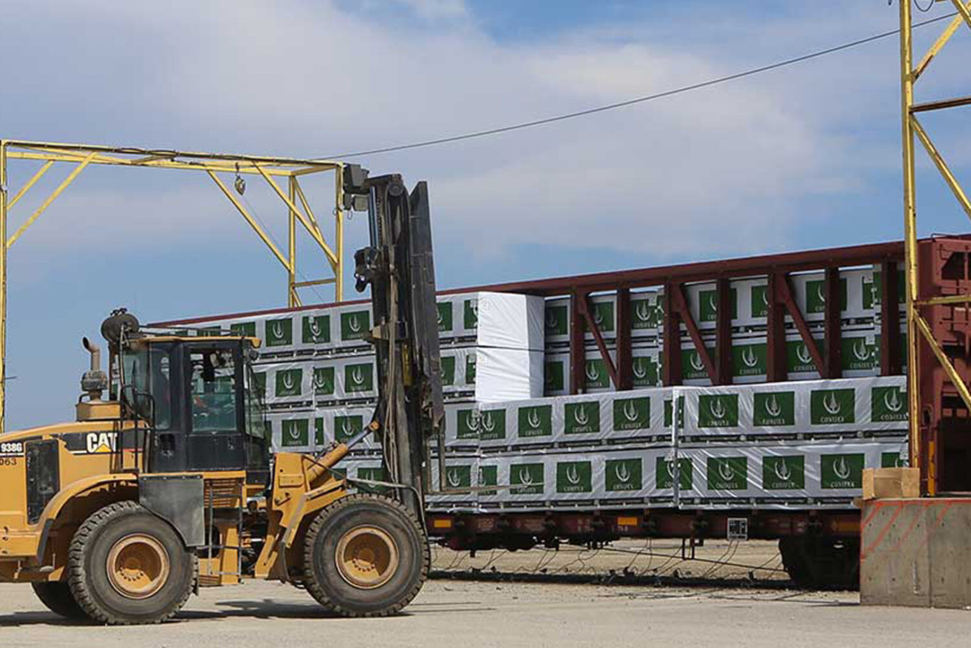 В 1 кв. 2025 г. выручка Conifex Timber выросла на 10%