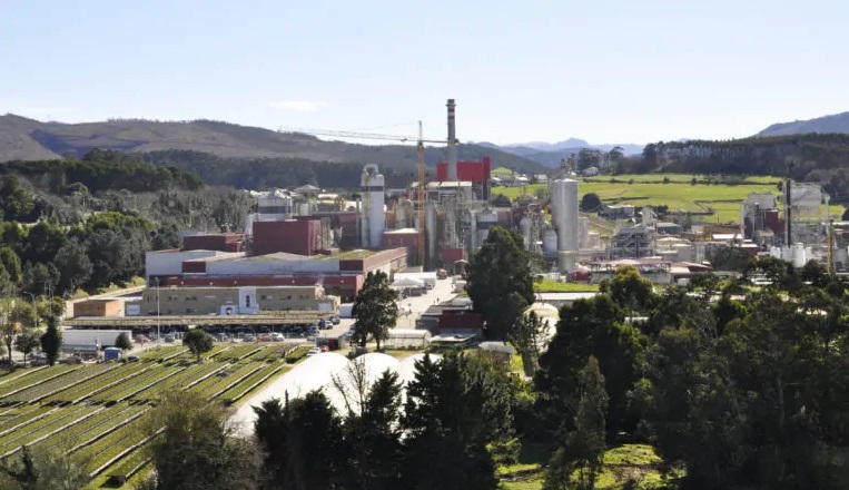 Ence begins annual technical shutdown at Navia biofactory in Spain