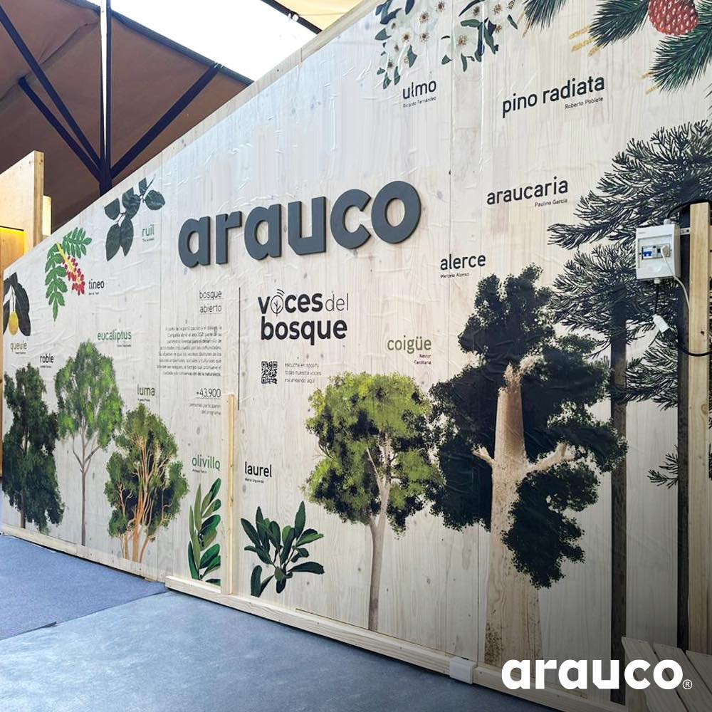 В 1 кв. 2024 г. выручка Arauco выросла на 15%
