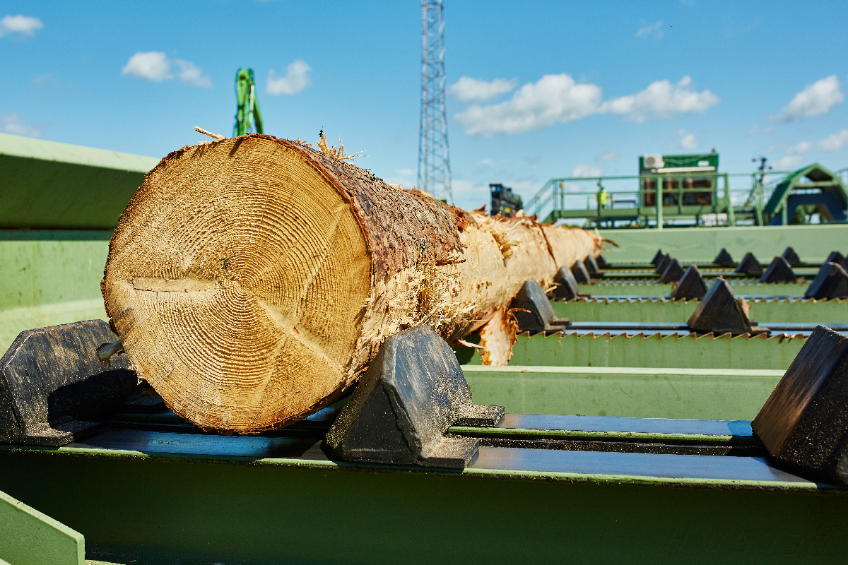 ЛПК SHELON меняет вектор развития
