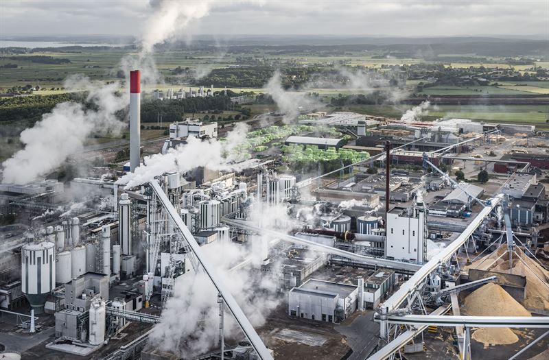 Södra develops new paper pulp combining softwood fibres with oat hulls