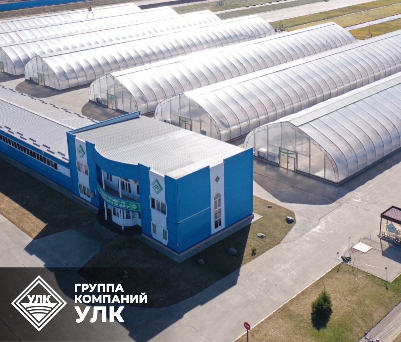Устьянский лесопитомник начал поставки посадочного материала