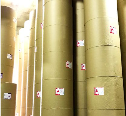 Japan Pulp & Paper приобретет оставшиеся акции Radms Paper