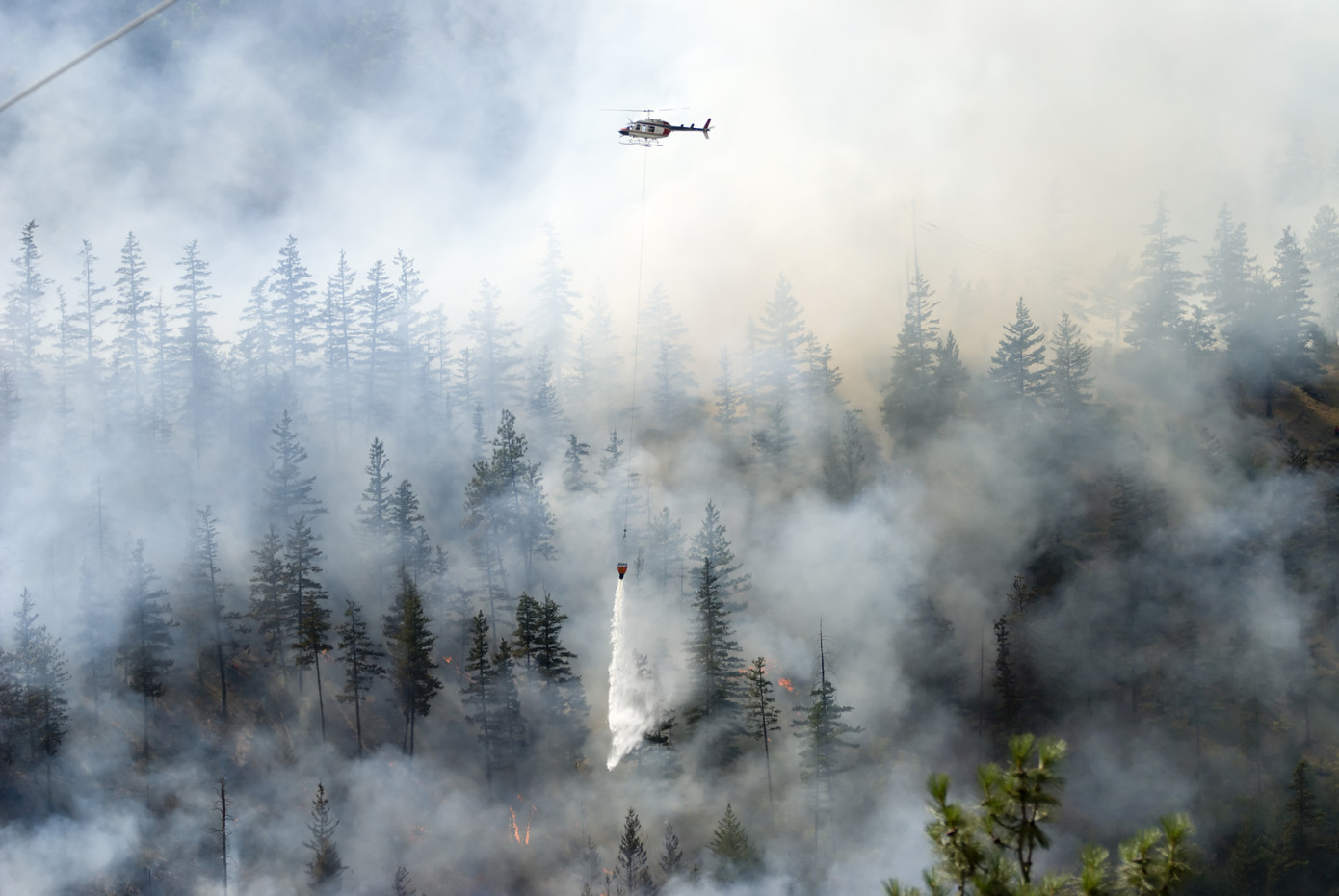 За сутки в 17 регионах России ликвидировано 47 лесных пожаров