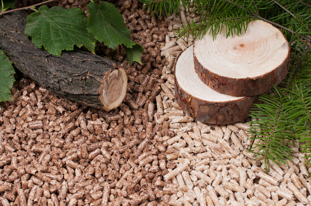 Greencoat acquires 41.8 MW biomass plant from Glennmont Partners