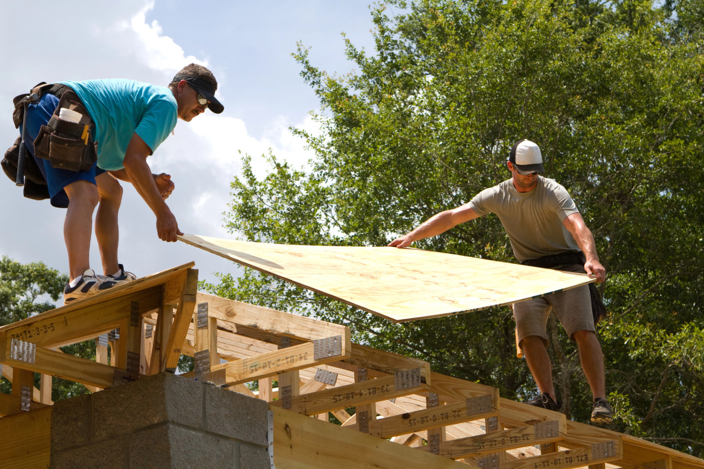 Chile’s plywood exports rise 11% in first half of 2025