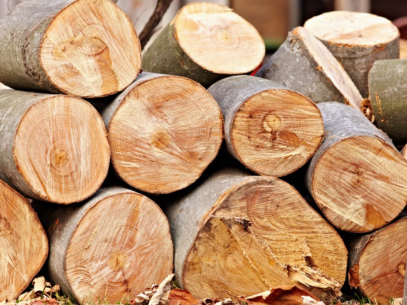 WRI"s Global Sawlog Price Index rose 2.9% in 3Q 2020