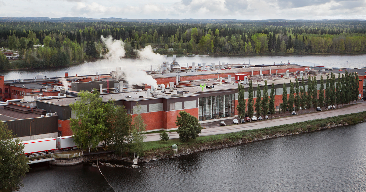 Metsä Group увеличит производство санитарно-гигиенической продукции в Финляндии