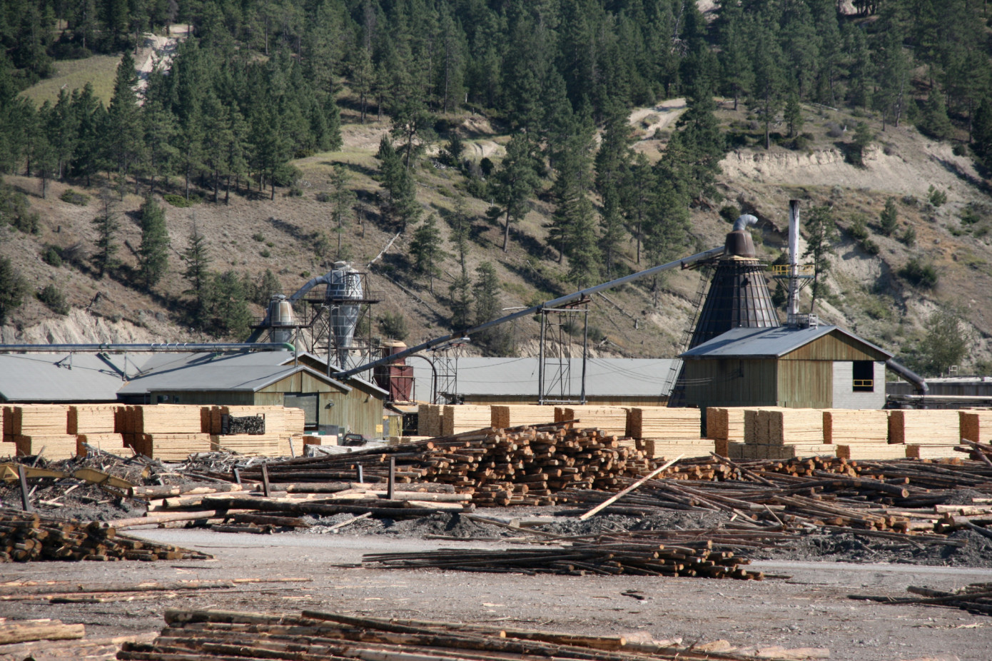 В январе 2024 г. коэффициент загрузки производственных мощностей в деревообработке Канады составил 70%