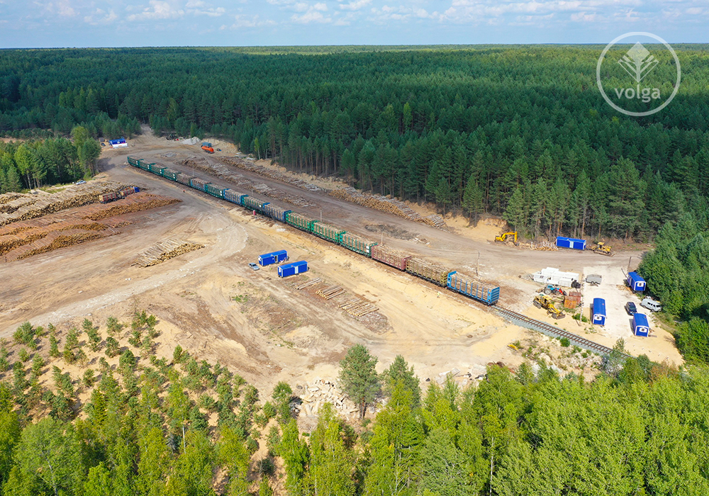 Инвестпроект АО «Волга» включен в перечень приоритетных в области освоения лесов