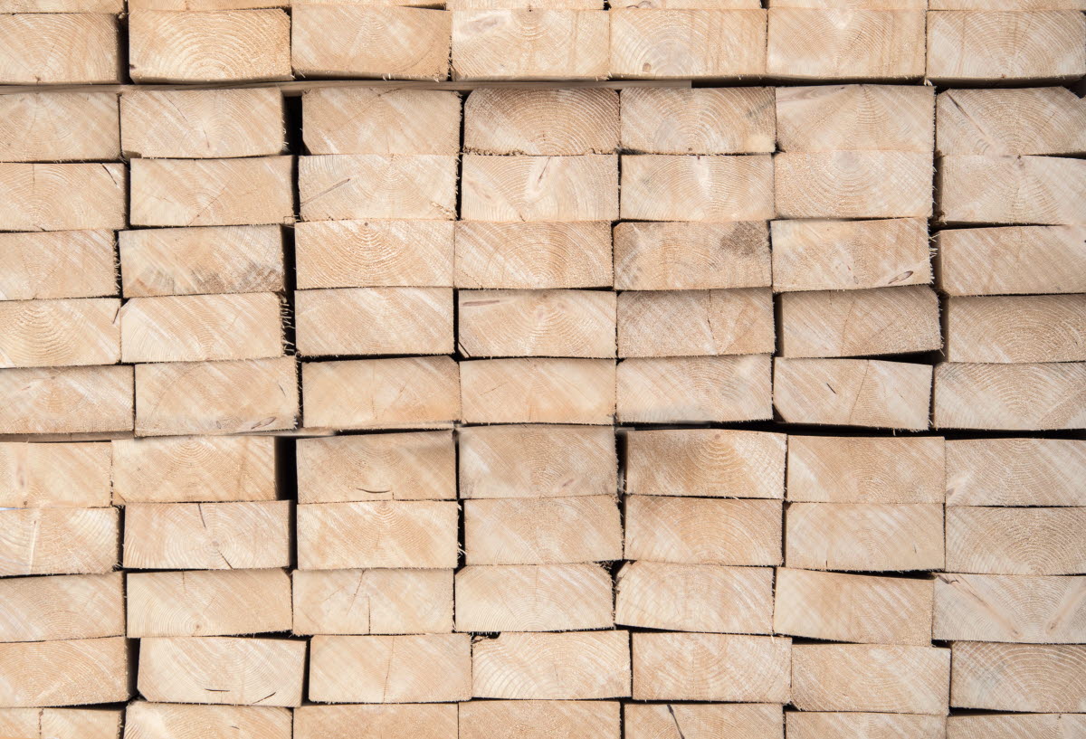 SCA and Holmen complete conduct feasibility study for sawmill in Rundvik, Sweden