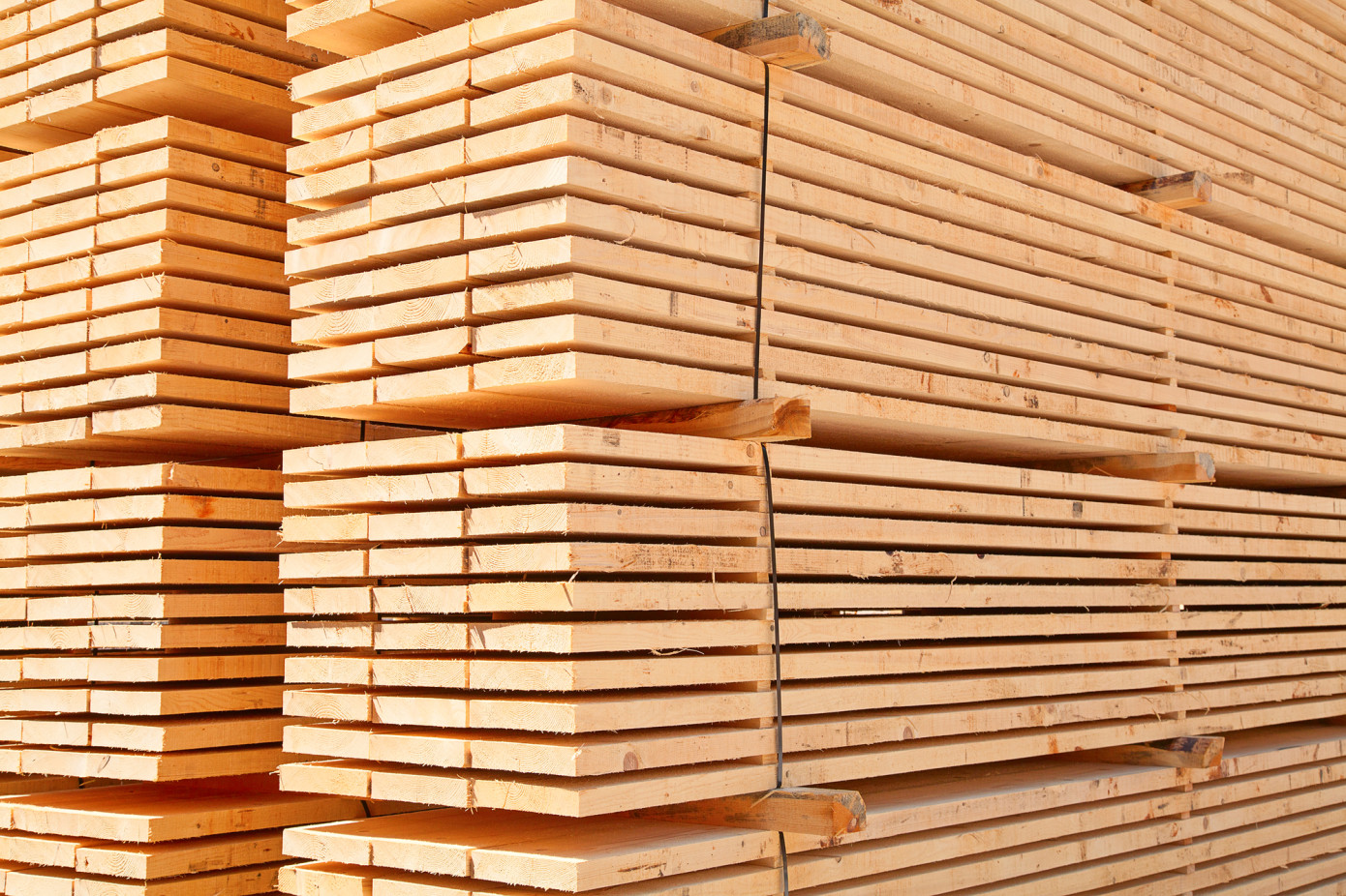Official of Russian Ministry of Defense was arrested on charges of fraud in purchase of lumber for fortifications