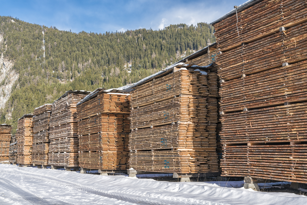 Russian lumber industry faces steep decline in export prices and volumes amid global boycotts and weakened demand