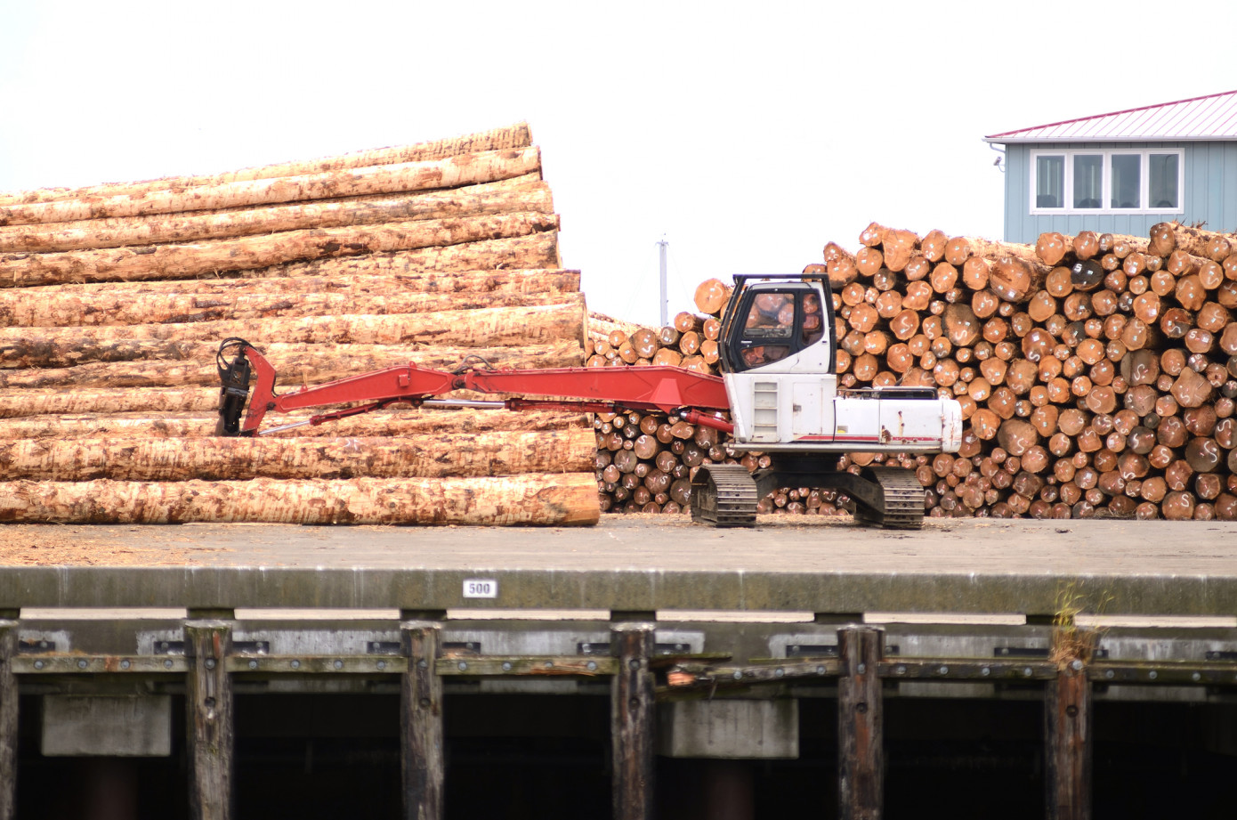 Exports of sawlog from Germany to China fall 60% in March
