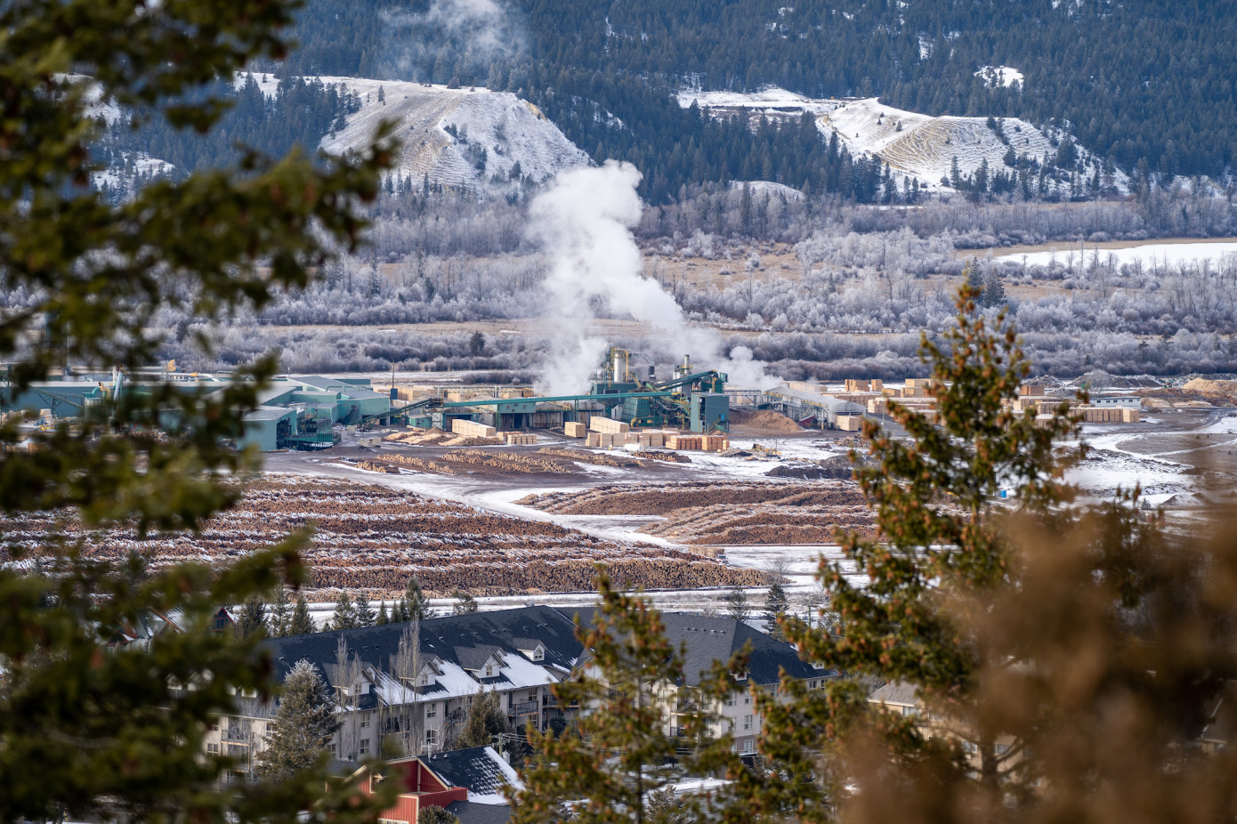 Canfor reports $560 million Q3 loss driven by asset write-downs and weak lumber demand
