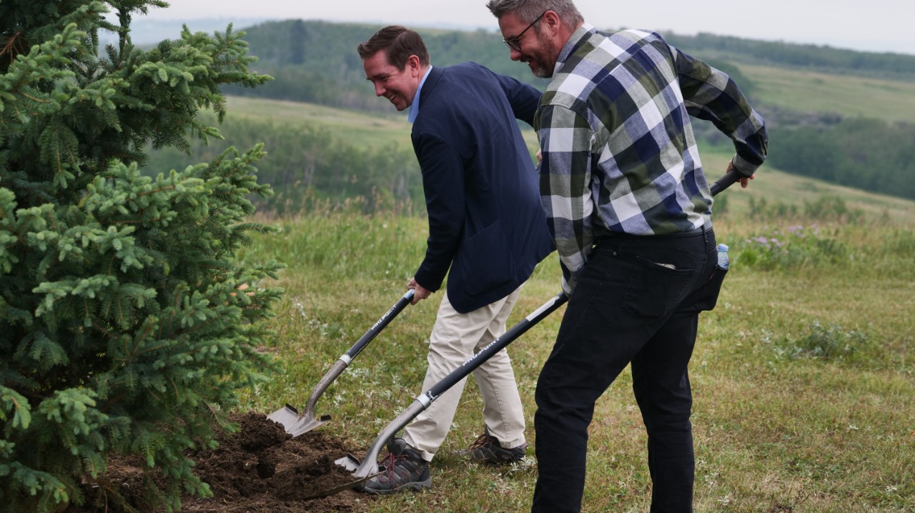 Canada invests $125 million to plant 12 million trees in Alberta