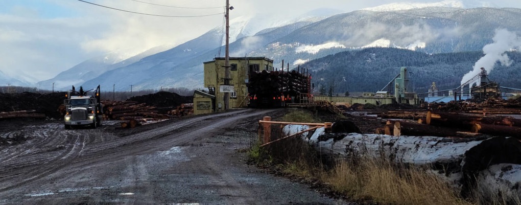 Skeena Sawmills curtails log deliveries for three weeks