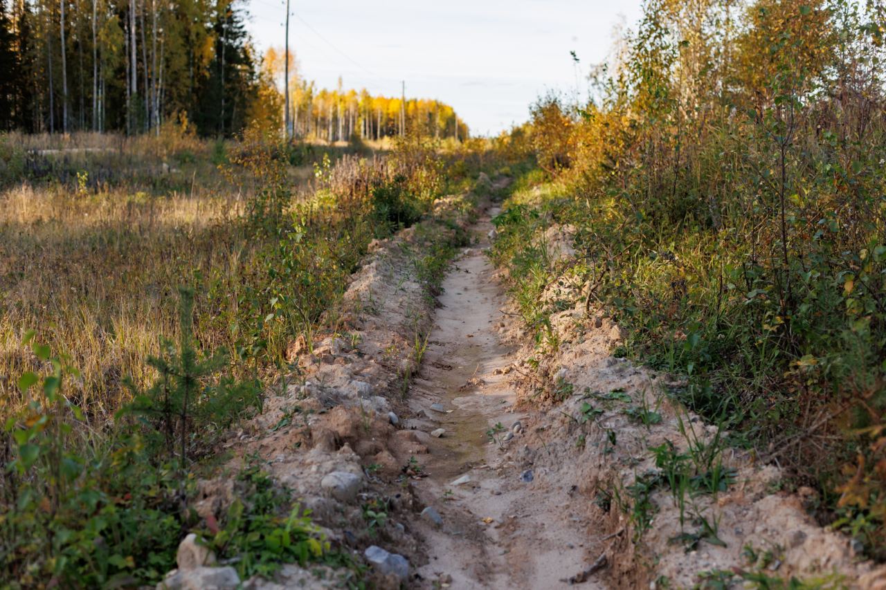 «Свеза» направит 2 млн руб. для проведения противопожарных мероприятий в Вологодской обл.