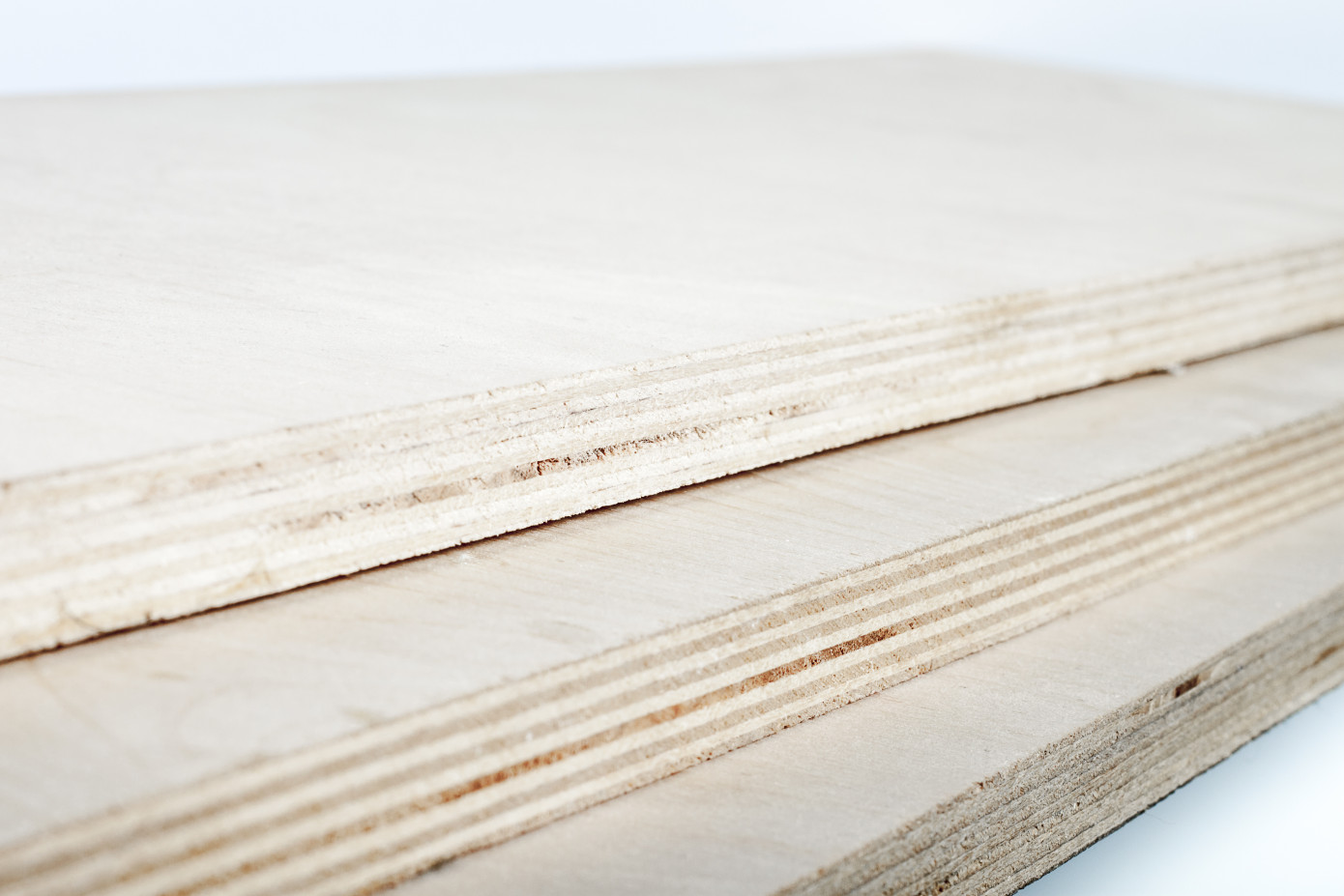 Brazil’s exports of tropical plywood increased by 45% in 2019