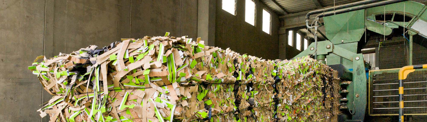 CellMark и Total Fiber Recovery построят завод по переработке макулатуры на юго-востоке США