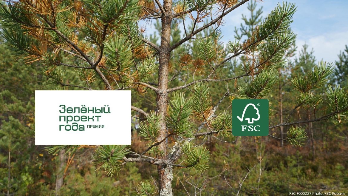 IKEA и UPM стали одними из первых соискателей премии «Зеленый проект года — 2021»