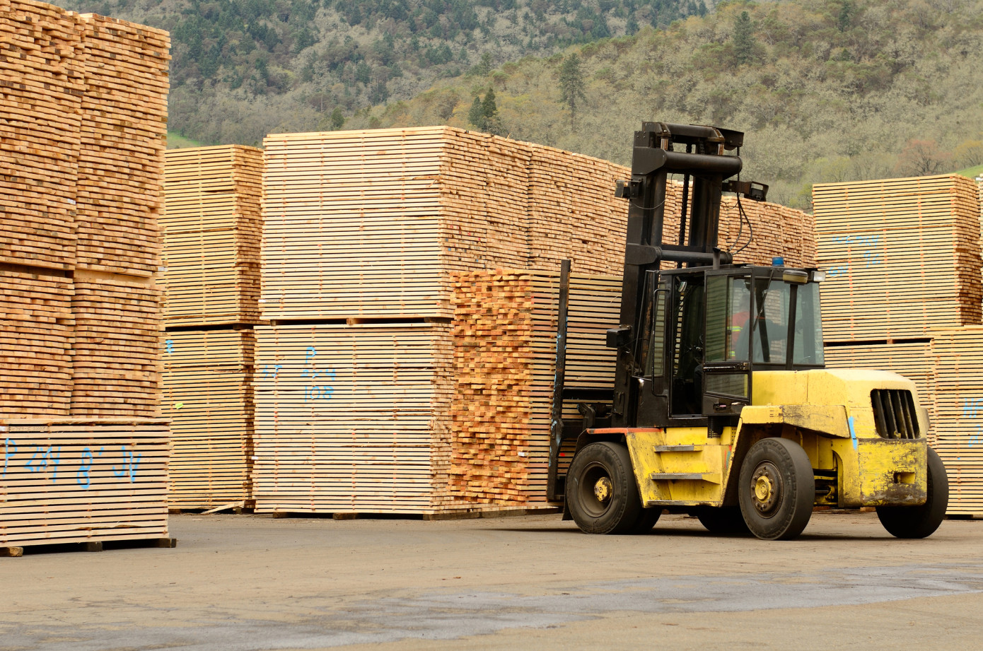 Brazilian wood product exports drop 31% in September