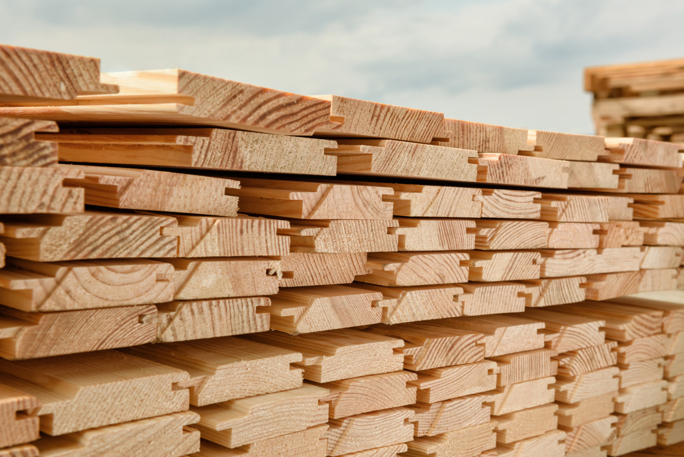 Artifex to build Bashkir wood processing plant with capacity of 12 thousand m3 per year