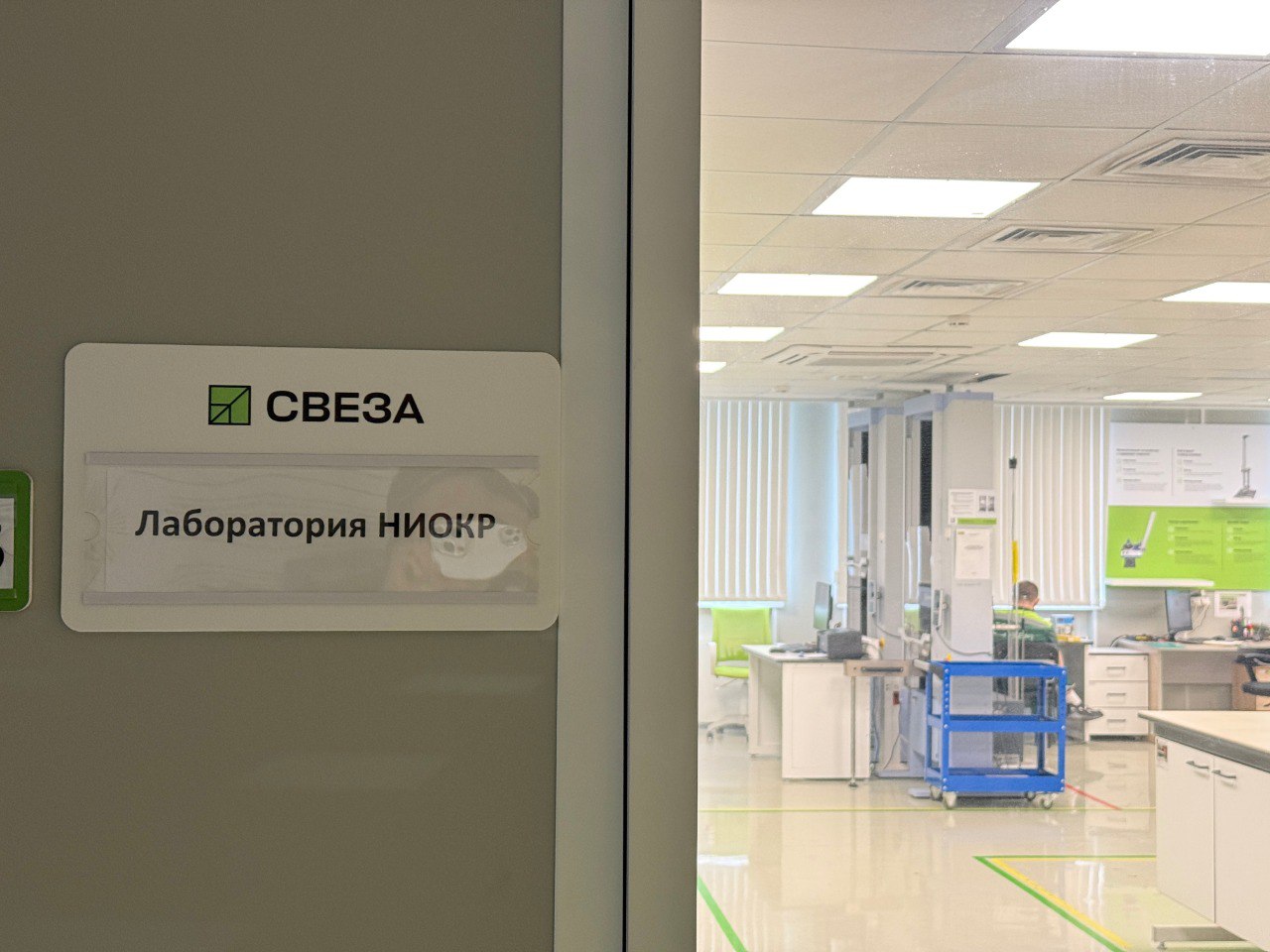 «Свеза» разработала систему для анализа технологий переработки балансовой древесины