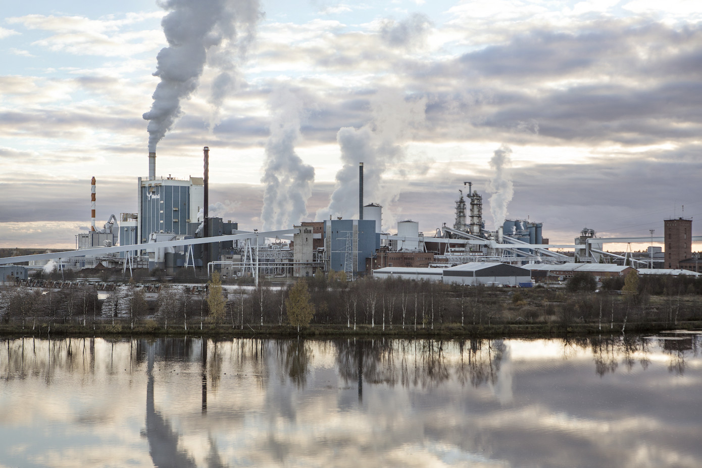 Metsä Board планирует увеличить производство упаковочного картона в Финляндии или Швеции