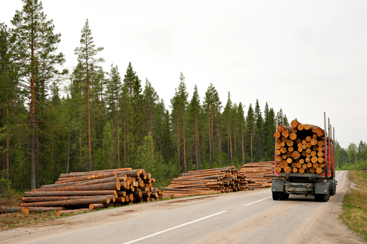 Swedish log prices climb in first quarter