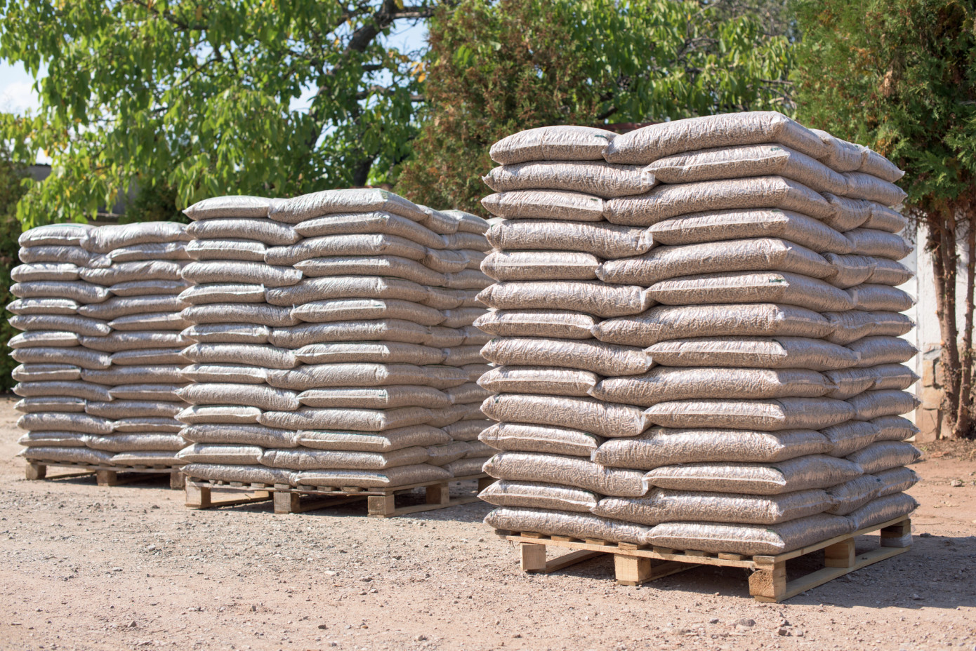 U.S. wood pellet exports reach record 10 million tons in 2024