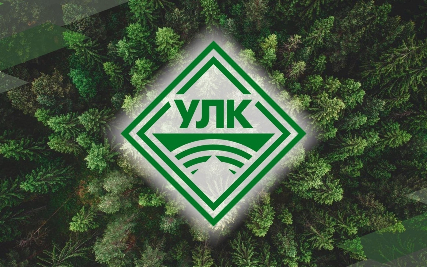 Группа «УЛК» закупит 20 отечественных лесовозных прицепов