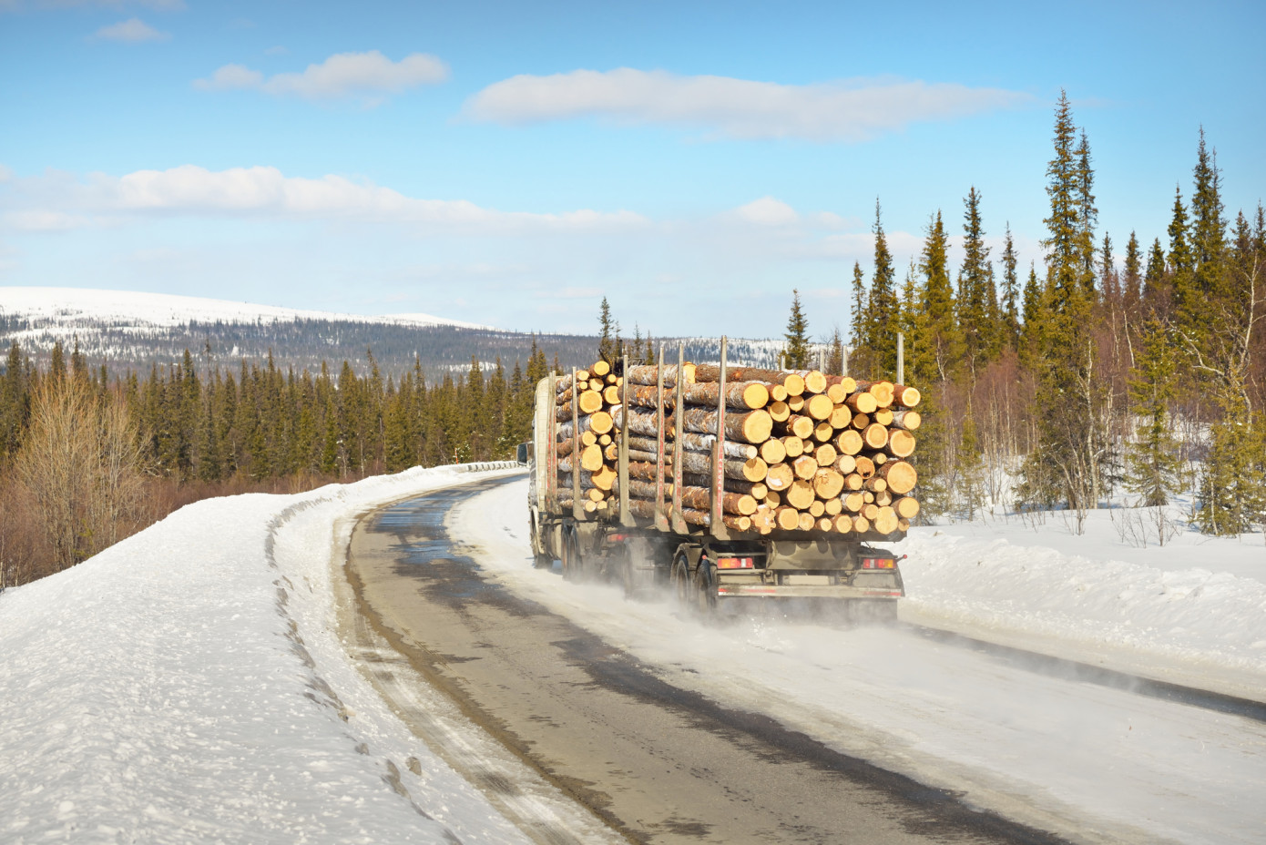 Стремительный исход: менее чем за год иностранные лесопромышленные компании продали в России 13 заводов