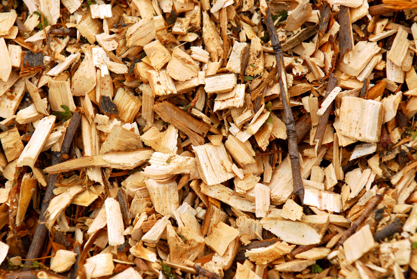 In March, price for wood chips imported to China stays flat
