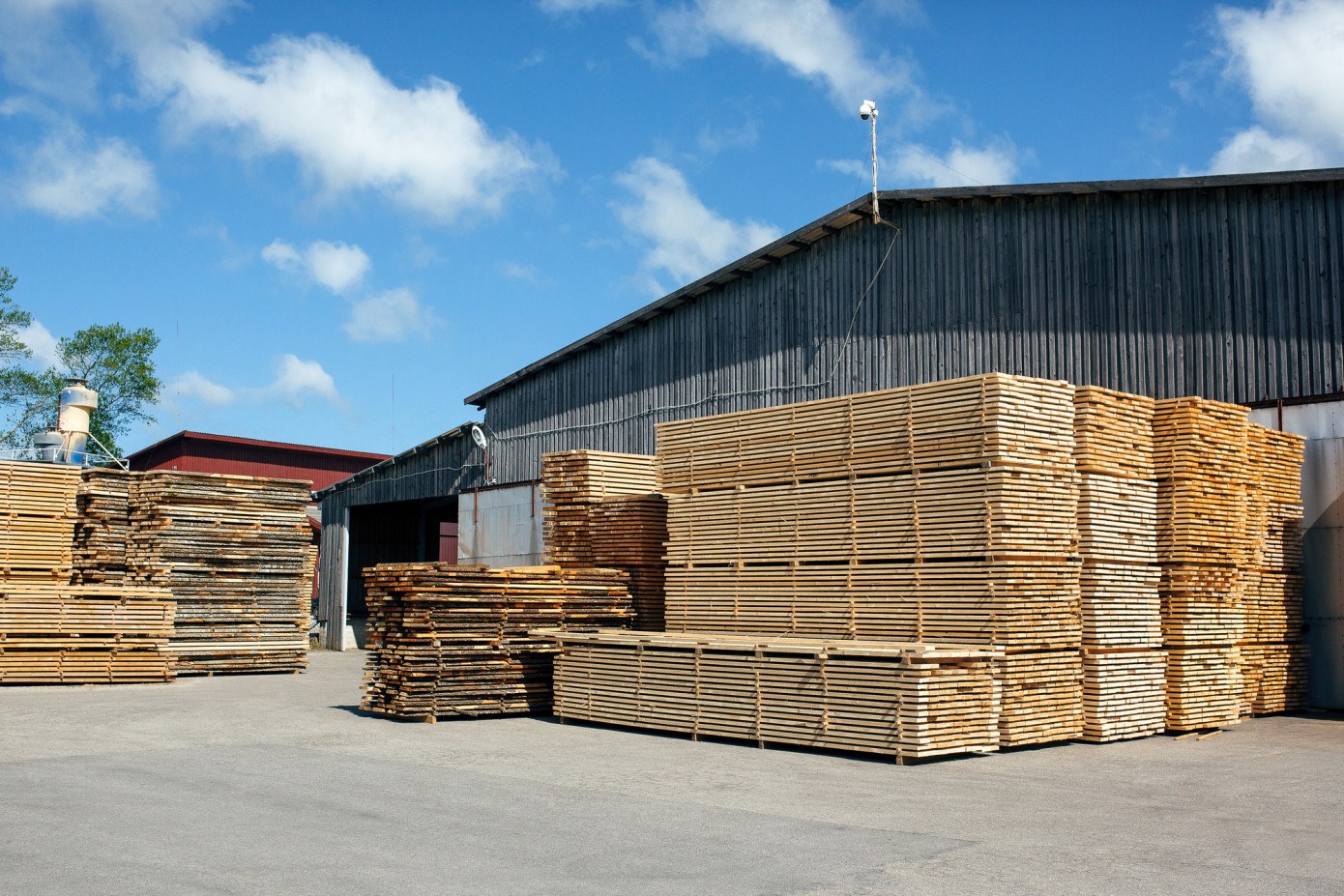 In first quarter, Russia"s lumber production increases by 1.6%