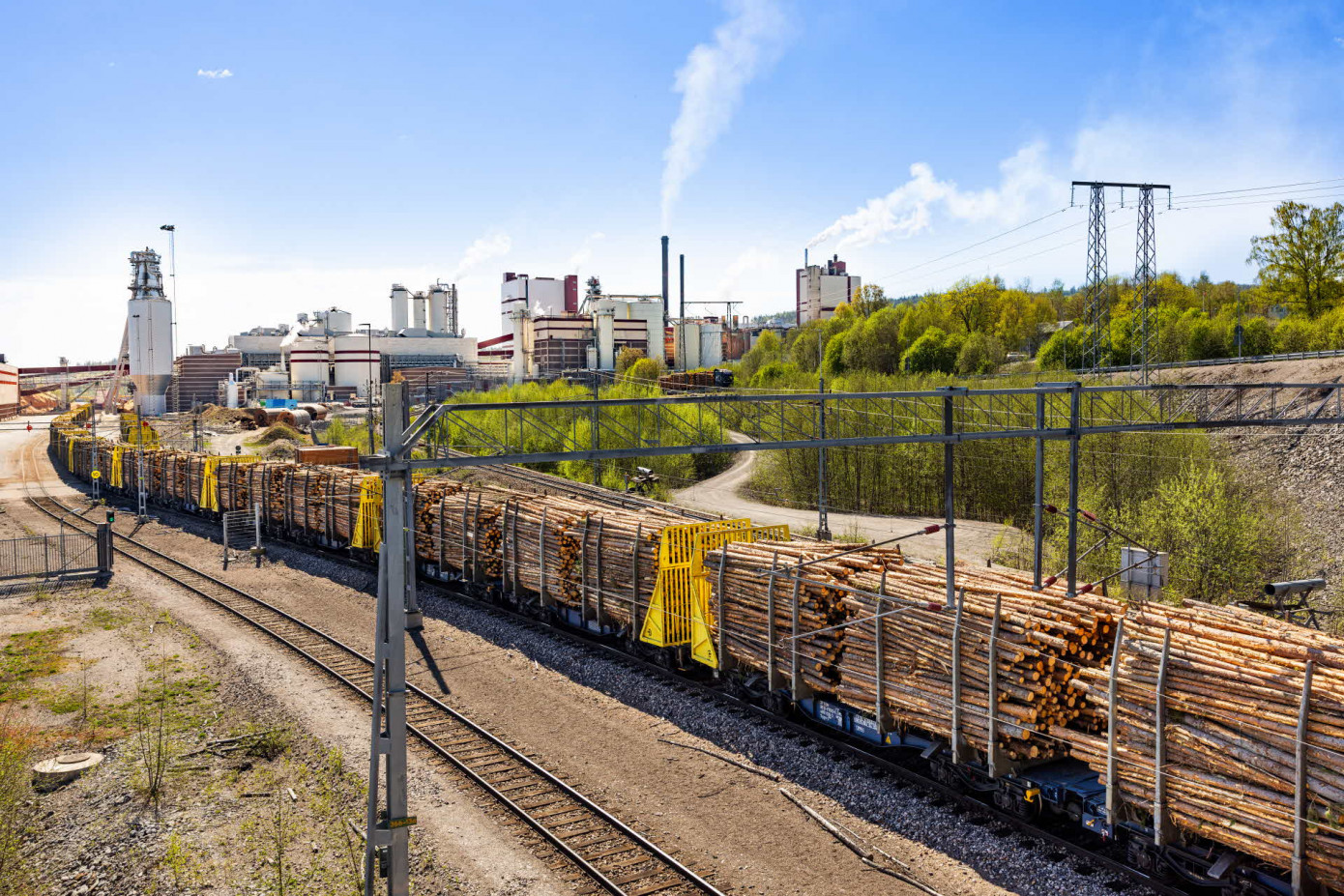 SCA наращивает перевозки древесины по железной дороге