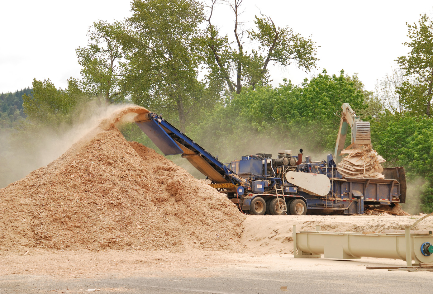Exports of wood chips from Vietnam to Japan gain 4% in February
