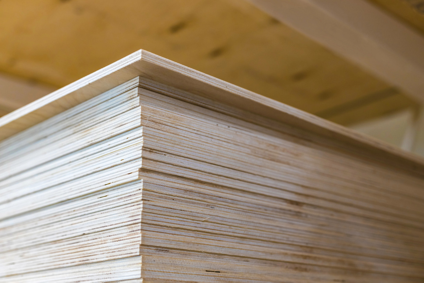 Imports of plywood to UK lose 34% in January