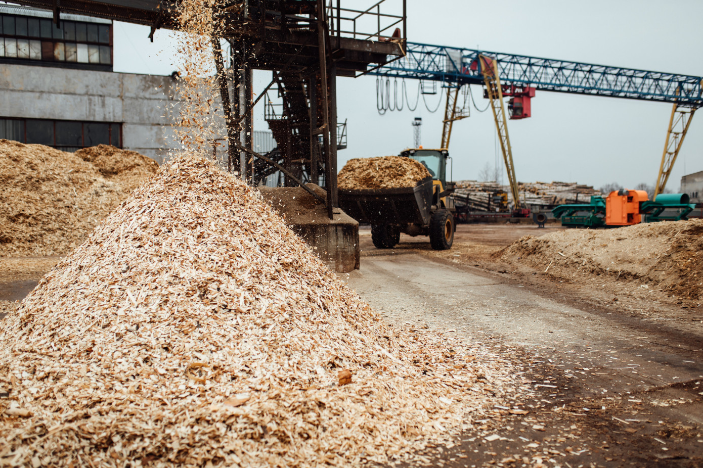 In February, price for wood chips exported from Thailand expands 20%