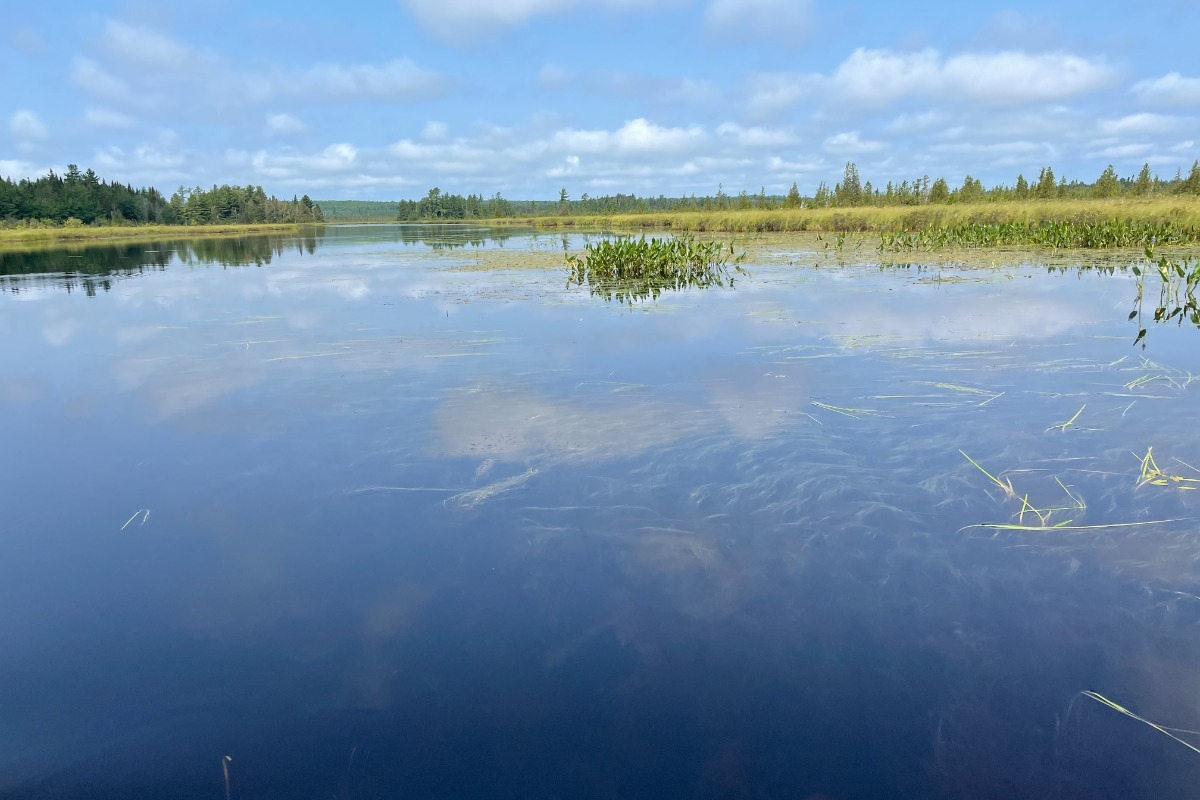 Conservation Fund sells 6,326 acres in northeastern Maine