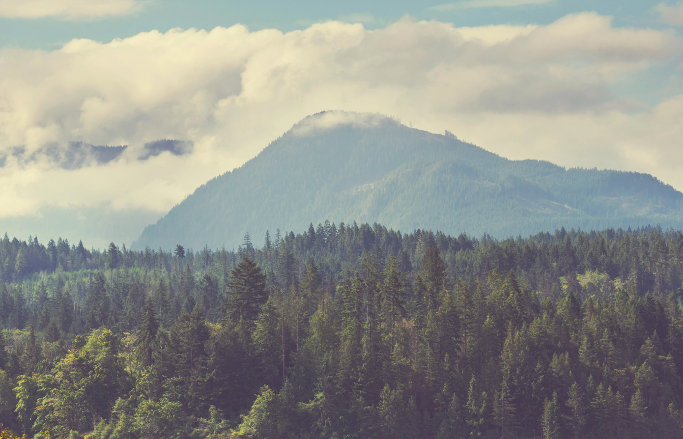 Canada puts $12.4 million into B.C. forest-sector projects