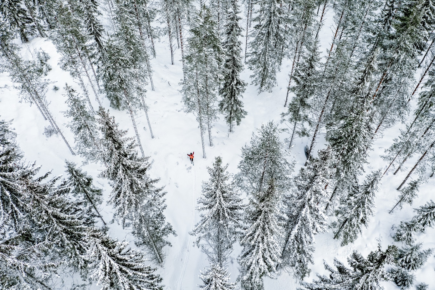 В 2025 г. выручка Tornator выросла на 9%