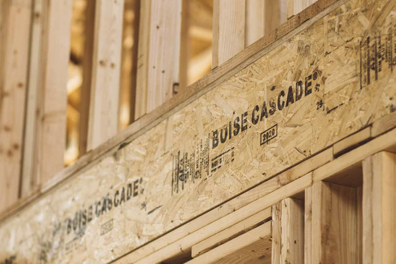 Boise Cascade appoints Joanna Barney as executive vice president of building materials distribution