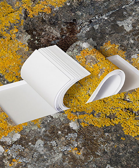 Выпускаемая на заводе в Швеции мелованная бумага Arctic Paper получила сертификат Cradle to Cradle