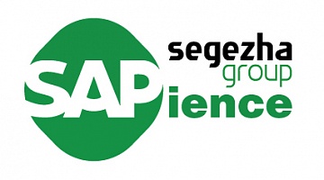 В Segezha Group создано единое пространство для работы с нормативно-справочной информацией