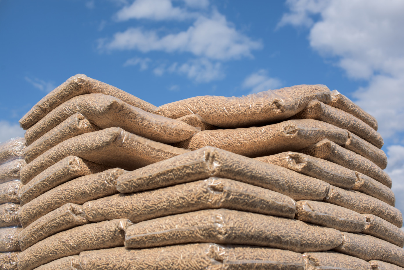 Exports of wood pellets from Indonesia lose 31% in March