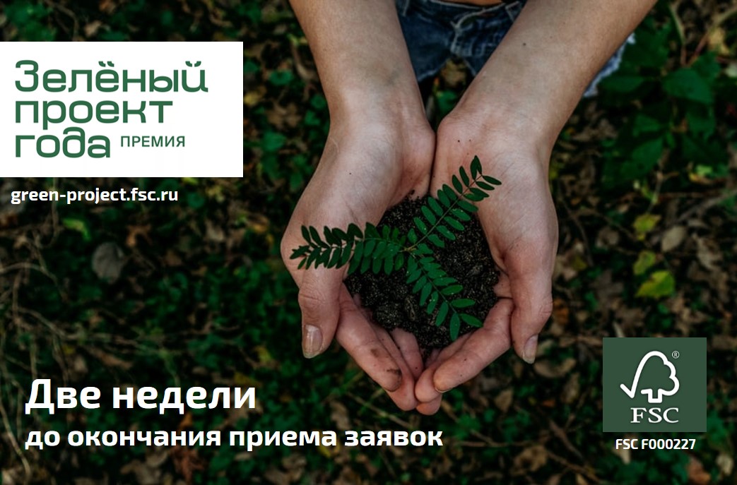 30 июня завершится прием заявок на премию FSC России «Зеленый проект года — 2021»