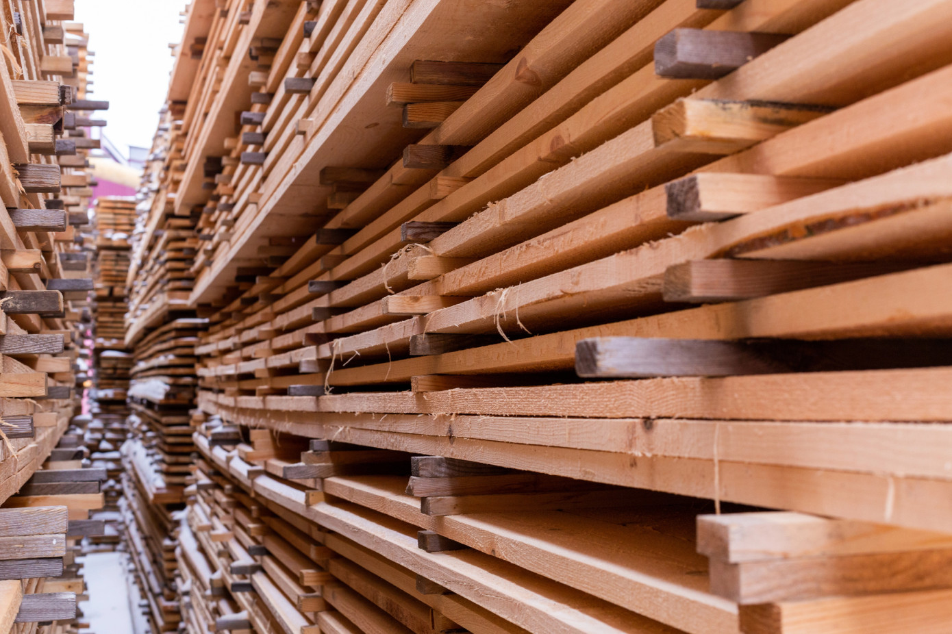 Russia decreases lumber production by 2.5% in 2025